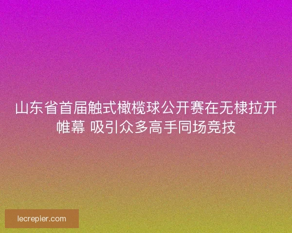 山东省首届触式橄榄球公开赛在无棣拉开帷幕 吸引众多高手同场竞技