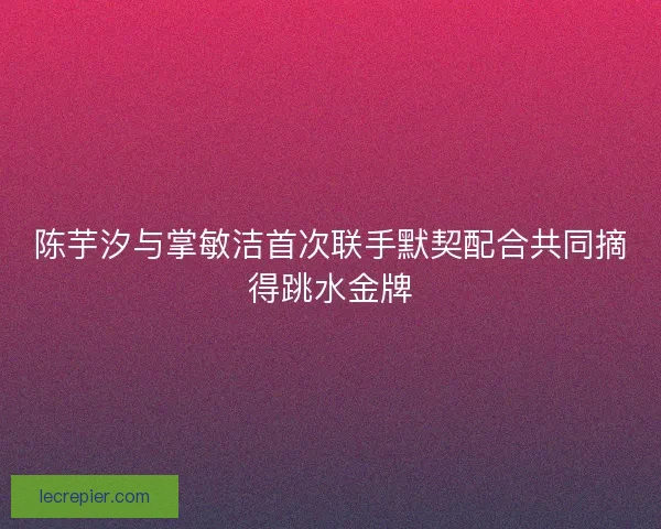 陈芋汐与掌敏洁首次联手默契配合共同摘得跳水金牌